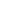 electricity icon